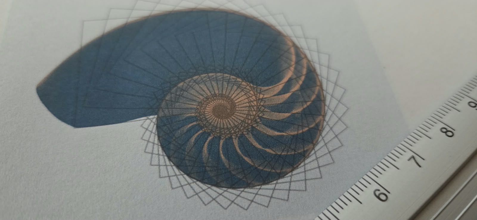 Foto artesanal de uma superfície de trabalho com a palavra Nautilus e a ideia de crescimento em espiral como forma preservada.