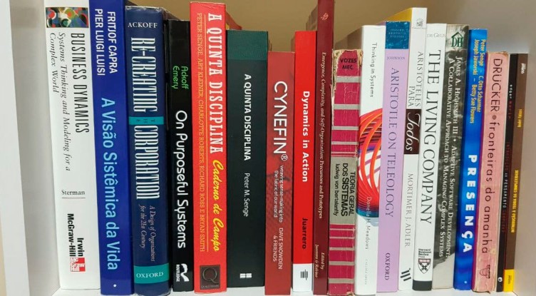 Imagem de capa do artigo A Era do Pensamento Sistêmico: Estamos Preparados? no LinkedIn.